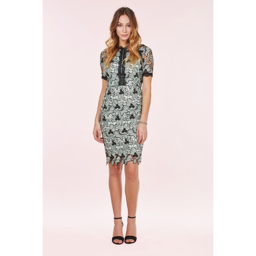 Brand New Forest Lily Cocktail Dress
